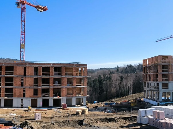 WhatsApp Image 2026-03-04 at 13.19.05 (1)